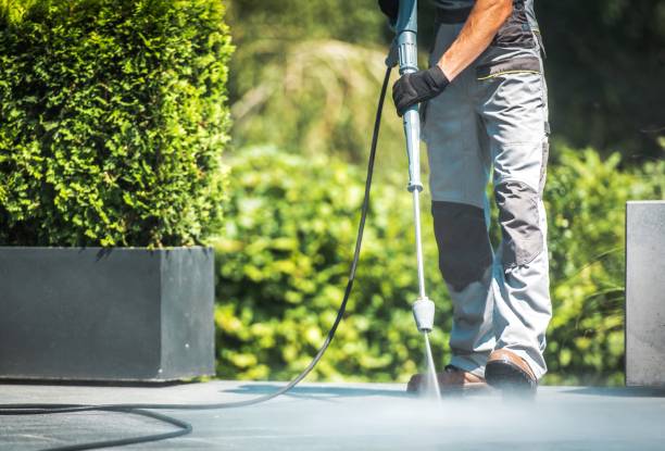 Best Soft Washing  in Deer Park, TX