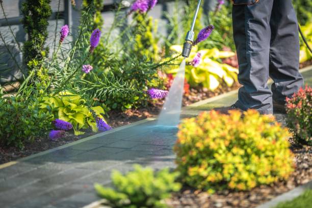 Best Dumpster Area Cleaning  in Deer Park, TX