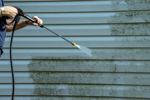 Best Patio and Deck Pressure Washing  in Deer Park, TX